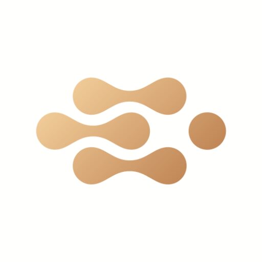 Vision Pitch U.S. Icon